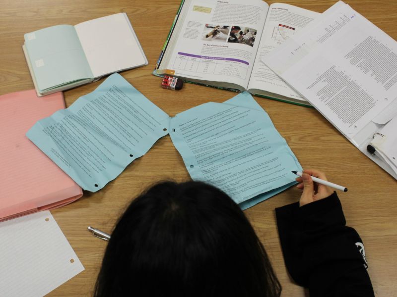 ACET Mock Tests 2020